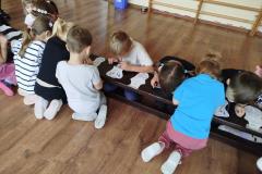 IMG_20251105_103747-Copy