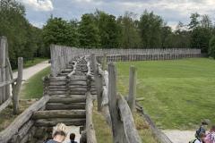 IMG_4010-Copy