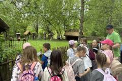 IMG_4031-Copy