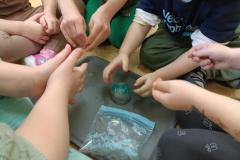 IMG20260304090257-Copy