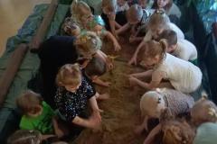 IMG20260304100736-Copy