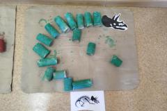 IMG_20260304_105545-Copy