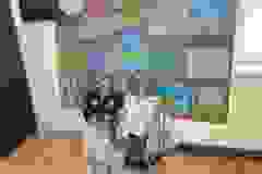 701459413_1308111041454512_5899975428268025572_n