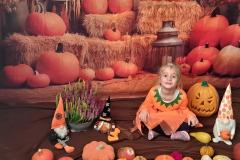 20251029_095032-Copy