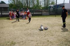 DSC03988-Copy
