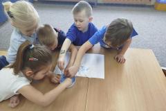 IMG_20250324_101904-Copy