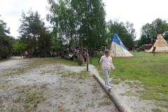 DSC08372-Copy