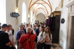 DSC08502-Copy