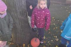 20251020_113517-Copy
