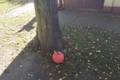 20251020_113636-Copy