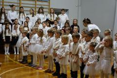 DSC05123-Copy