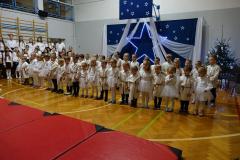 DSC05129-Copy