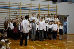 DSC05135-Copy