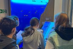 IMG-20250924-WA0009-Copy