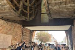 IMG_5611-Copy