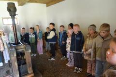 DSC06219-Copy