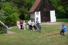 DSC06437-Copy