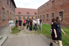 DSC07221-Copy