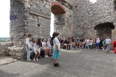 DSC07324-Copy