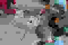 Messenger_creation_591156F0-F708-4B97-AE65-3419DA6BC14A