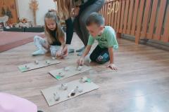 IMG20251007104640-Copy IMG20251007104640-Copy