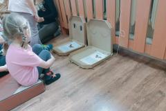 IMG20251007110425-Copy IMG20251007110425-Copy