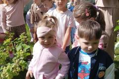 IMG20260522095710-Copy