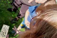 IMG20260522100114-Copy