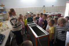 DSC08513-Copy