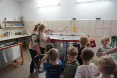DSC08516-Copy