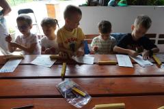 DSC08543-Copy