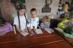 DSC08547-Copy