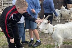 IMG_5837-Copy