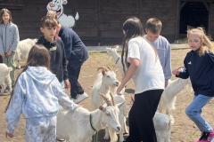 IMG_5841-Copy