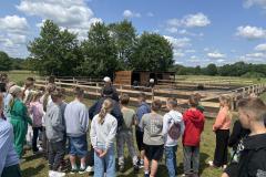 IMG_5842-Copy