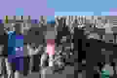 6e559211-f452-4fcd-aed7-1da1a7872372