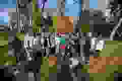 de21dad3-430a-4b87-b855-1bef9aa30aa3