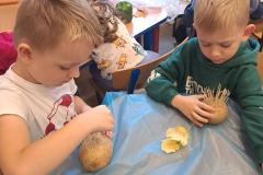 20251017_114934-Copy 20251017_114934-Copy