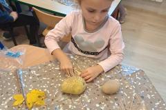 20251017_115046-Copy 20251017_115046-Copy