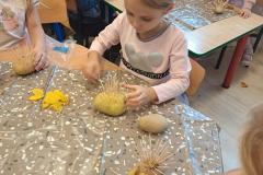 20251017_115106-Copy 20251017_115106-Copy