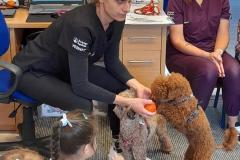 20251010_094716-Copy 20251010_094716-Copy