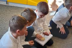 20251010_095046-Copy 20251010_095046-Copy