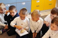 20251010_095117-Copy 20251010_095117-Copy