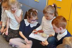 20251010_095135-Copy 20251010_095135-Copy