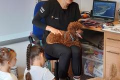 20251010_095152-Copy 20251010_095152-Copy