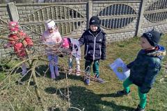 IMG_20250321_104707-Copy