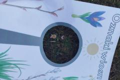 IMG_20250321_105436-Copy