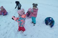 IMG_20260113_101354-Copy