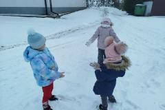 IMG_20260113_101439-Copy