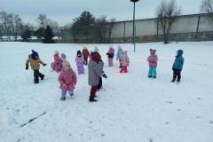 IMG_20260113_101550-Copy